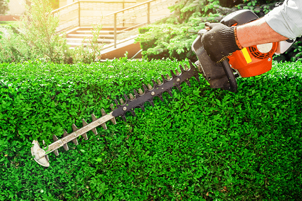 property-maintenance property-maintenance