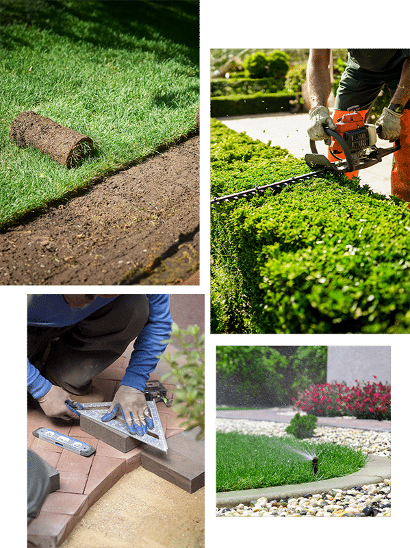 services-home-page services-home-page